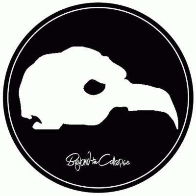 logo Beyond The Collapse logo Beyond The Collapse